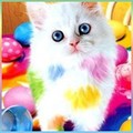 Екатерина26